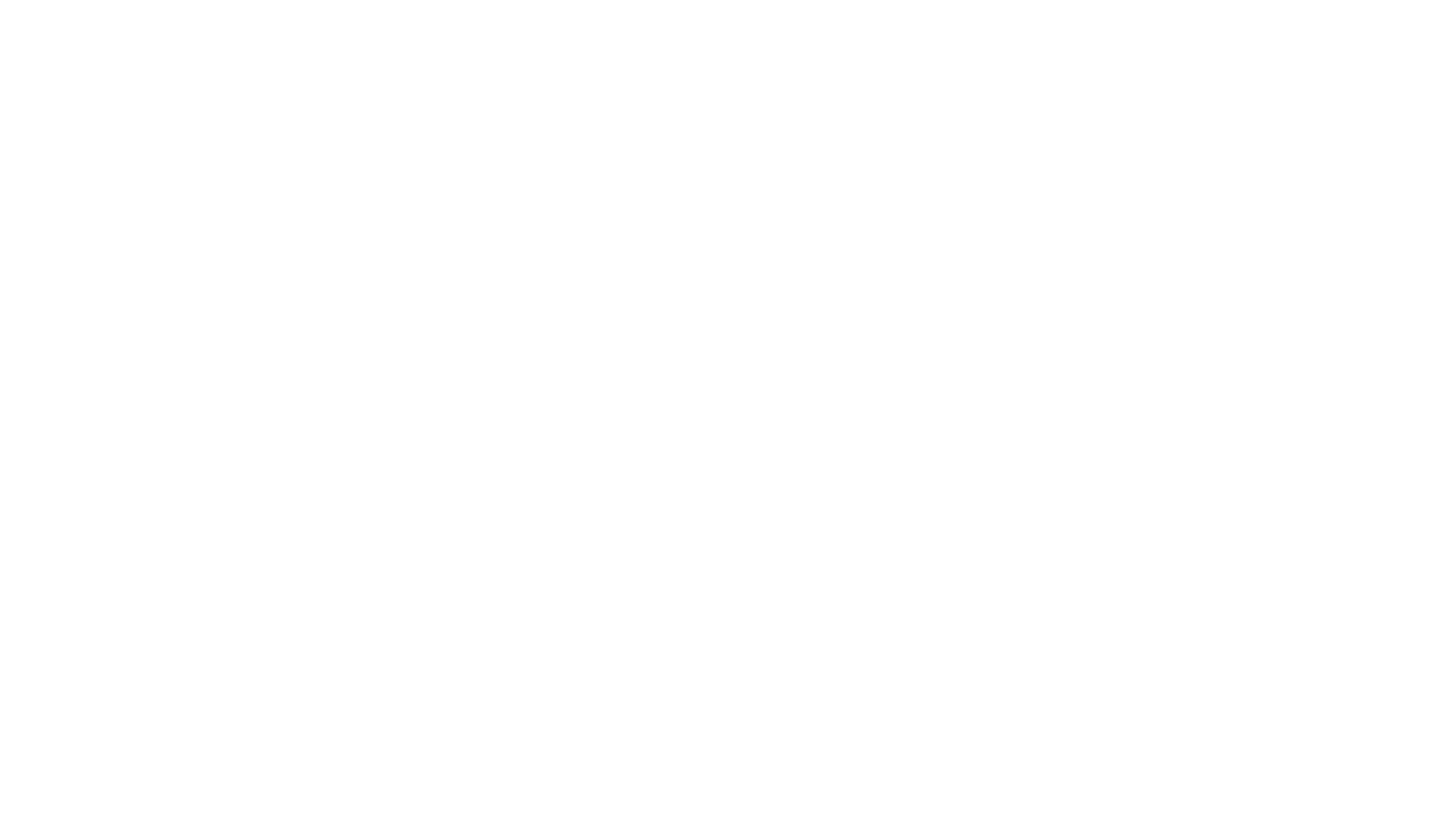 Aster Studio